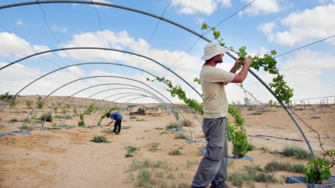 חקלאי באר מילכה.jpg