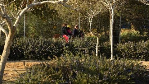 קדש ברנע 2.JPG